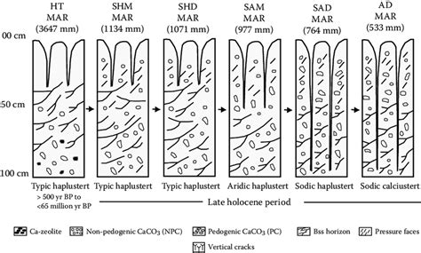 2 Successive stages of pedogenic evolution of Vertisols in a ...