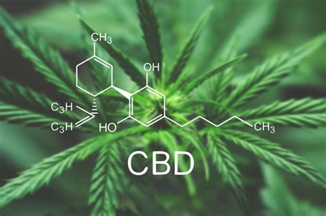 What you need to know about CBD products