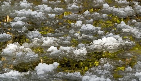 Frazil Ice! Photo is called Frazil Ice Reflections, Yosemite Creek by ...