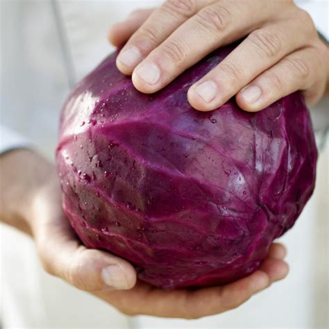 Red Cabbage Nutrition Information | Livestrong.com