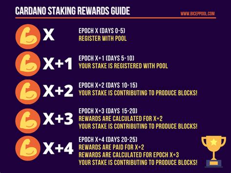 Cardano Staking Rewards Guide : r/cardano