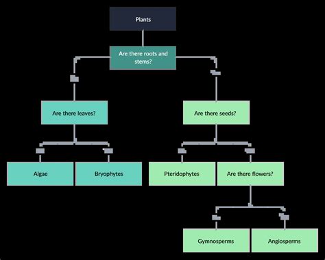 Dichotomous Variable Definition Types And Examples, 54% OFF