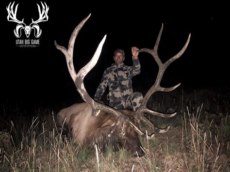 Elk Hunting Utah | La Sal, Central Mountains Manti & Bookcliff Elk ...