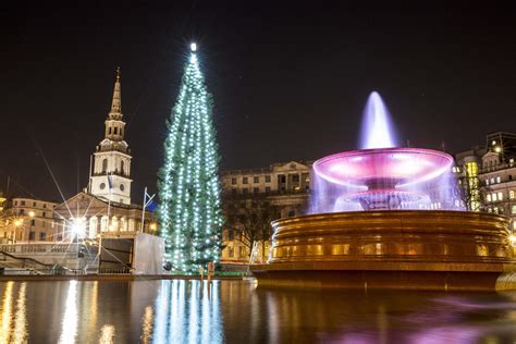 Trafalgar Square Christmas tree 2018: When do the lights switch on and who will perform ...