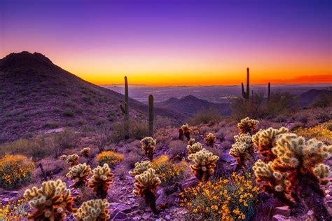 Arizona Desert Sunset Wallpapers - 4k, HD Arizona Desert Sunset ...