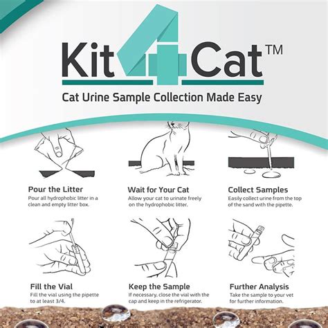 Kit4Cat Cat Urine Collection Kit, 3 Tests - Jeffers