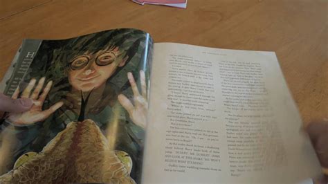 Illustrated harry potter book 1 - darelobj