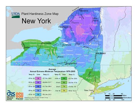 Plant Hardiness Zones | The How Do Gardener