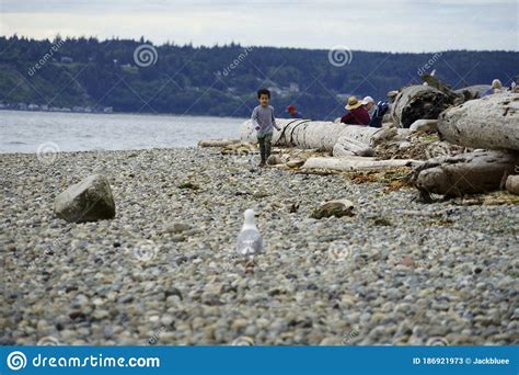 Camano Island State Park Washington Editorial Stock Photo - Image of ...