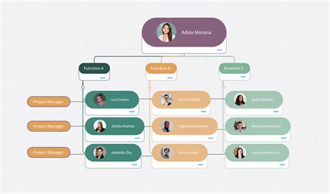 Functional Chart Template Free organizational chart template