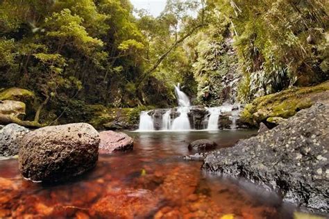 10 Top Queensland National Parks For A Thrilling Experience