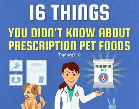 16 Things About Prescription Dog Food Brands You Must Know