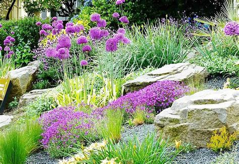 Plants for rock gardens? | The Daily Courier | Prescott, AZ