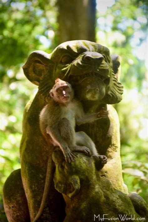 UBUD MONKEY FOREST | MyFusionWorld