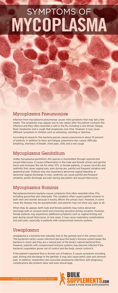 Mycoplasma Infections: Symptoms, Bacteria Species & Treatment