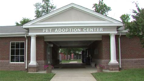 City council takes first step to update Burlington animal shelter | myfox8.com