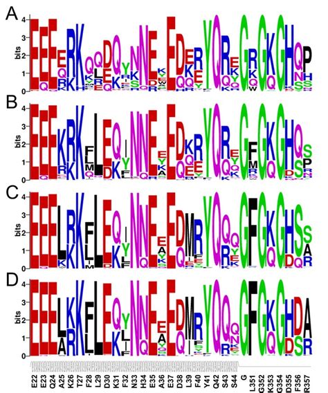 Sequence logo analysis of the evolution-based design results. Four sets ...