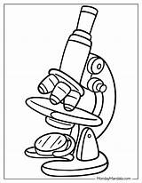Unleash Creativity And Learning With Science Coloring Sheets sketch template