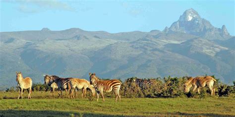 Samburu National Reserve | Big Time Safaris