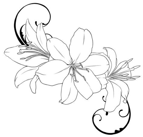 Lily Flower Drawing Tattoo