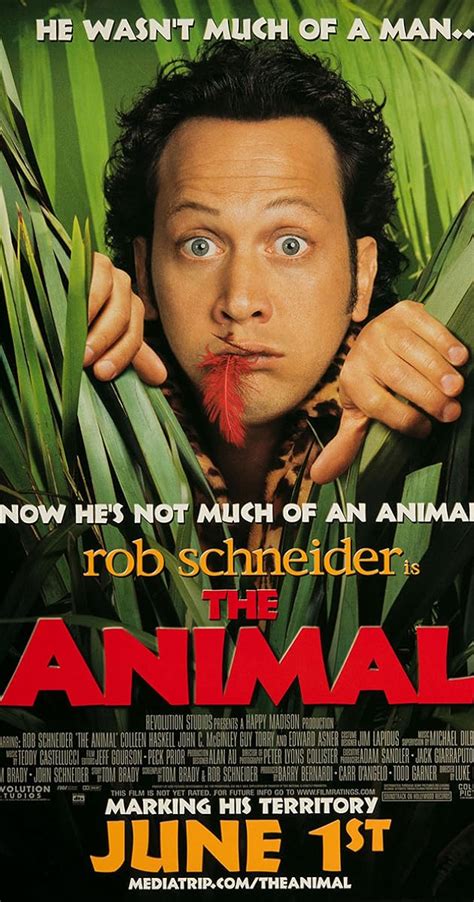 The Animal (2001) - Norm MacDonald as Mob Member - IMDb