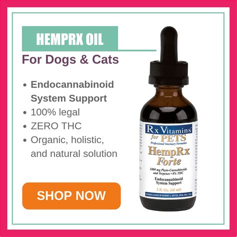 Steroids: A Holistic Approach - Boulder Holistic Vet