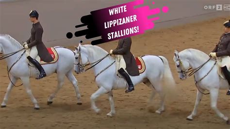 Spanish Riding School Grand Finale - White Lippizaner Stallions - YouTube