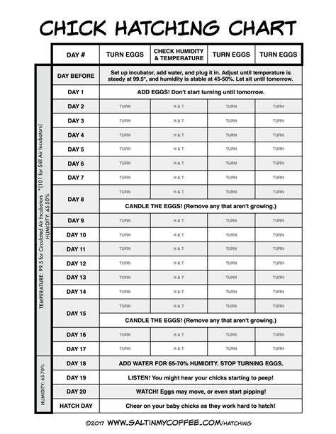 Printable Chick Hatching Chart