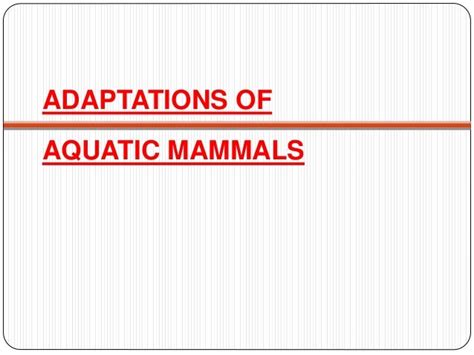 Loris and adaptations of aquatic mammals