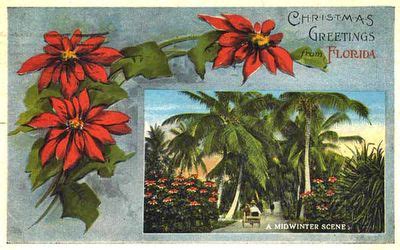 Vintage Florida Holiday Greeting Postcard | Florida christmas, Florida holiday, Christmas greetings