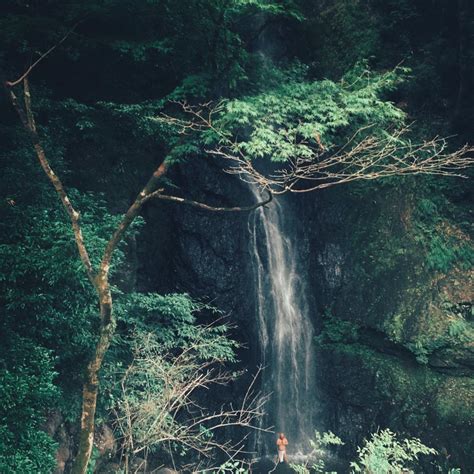 Buddhist meditating under waterfall. - Alo Japan