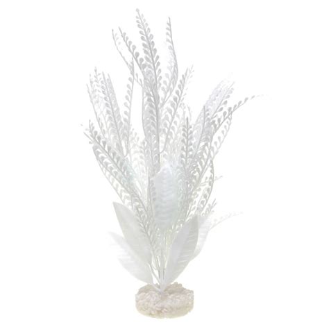 CB-2040-WH – Vibran-Sea® Color Burst Florals® Dragon’s Tongue Plant Large – White – Blue Ribbon ...