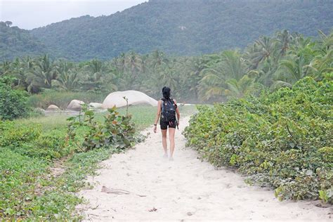 hiking-in-tayrona-national-park-colombia | The Culture Map