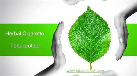 Buy herbal cigarettes brands in India - YouTube