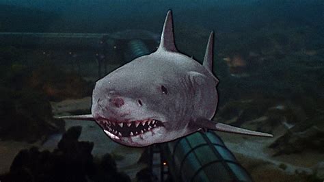 From "Jaws" to "The Meg", the Evolution of the Shark Horror Film! - KILLER HORROR CRITIC
