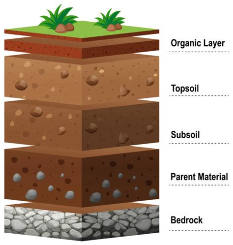 Topsoil Illustrations, Royalty-Free Vector Graphics & Clip Art - iStock