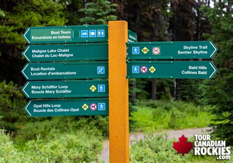 Maligne Lake Hiking Trails