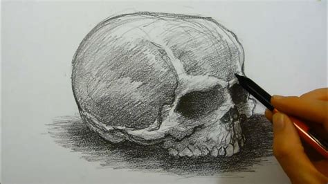 Timelapse | Drawing - Skull, No Jaw - YouTube