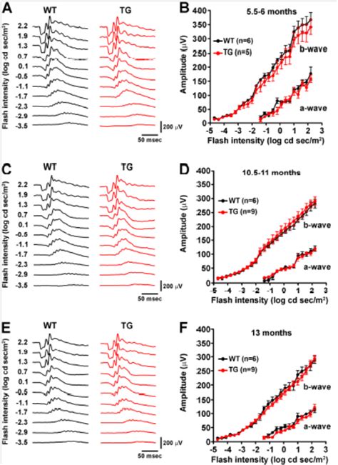 Aged Alzheimer's-model Mice | Cone Function Preserved | Ganzfeld ERG