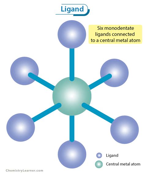 Ligands: Definition, Types, and Examples