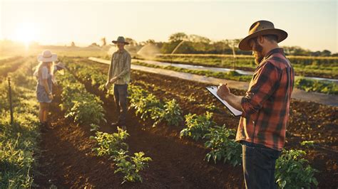 Once in a lifetime: Sow, grow or harvest | Once in a Lifetime | Private Clients | PwC Australia