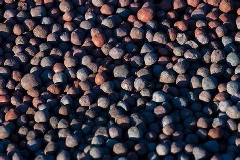 Iron Ore Pellets at best price in Ahmedabad by M T C Business Private ...