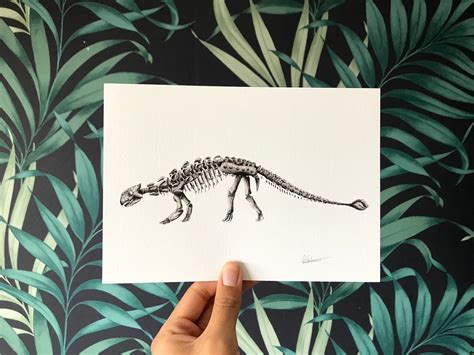 Ankylosaurus skeleton illustration A5 | Etsy