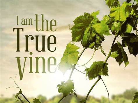 Jesus is the True Vine - by Litwithprayer - Letter