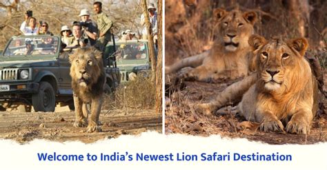 This Place In The East of India Is All Set To Be The Next Top-Tier Lion ...