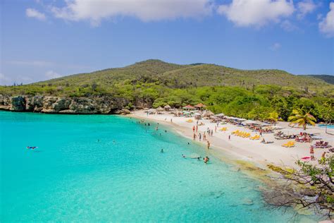 The best CURACAO ISLAND BEACH TOUR! Amazing Beaches, beach pigs and cliff jumping! Must-do Tour ...