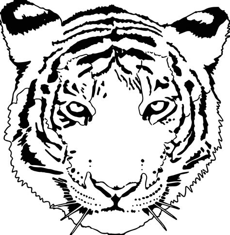 nice Tiger Wild Face Coloring Page | Coloring pages, Tiger face, Scripture coloring