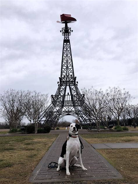 Is the Eiffel Tower in Paris, Texas, Worth Visiting? - TWO WORLDS TREASURES