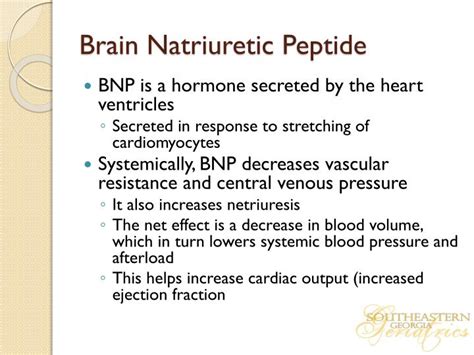 PPT - HYPERTENSIVE CRISIS AND BRAIN NATRIURETIC PEPTIDE PowerPoint ...