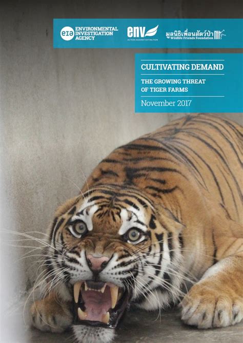 Tiger farms, illegal ivory trade, totoaba poaching and more at CITES meeting - EIA